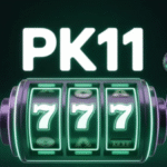PK11 Game
