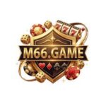 M66 Game