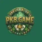 PAK8 Game